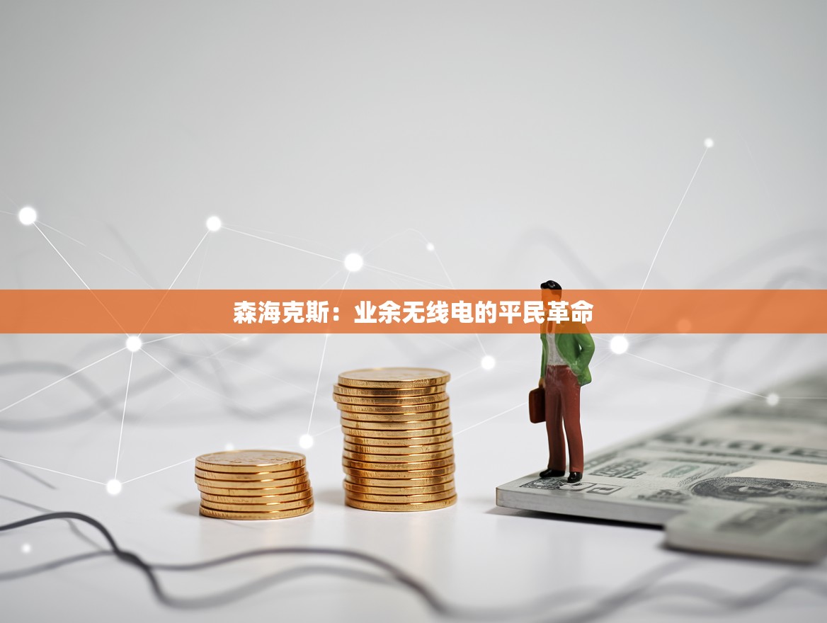 森海克斯：业余无线电的平民革命